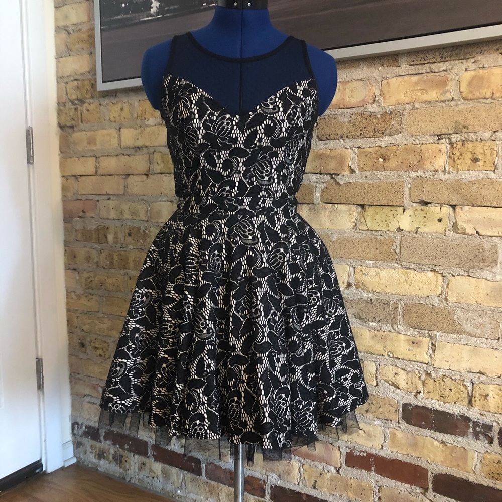 Vintage style Lace Fit and Flare Dress